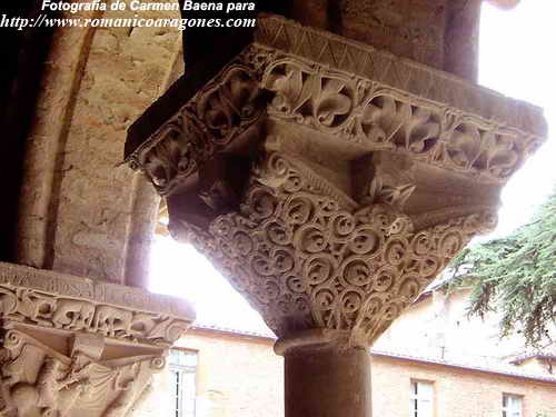 DECORACI�N VEGETAL